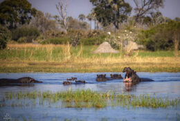 Botswana (32/52)